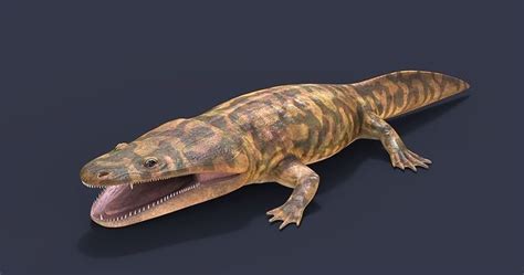 Meeposaurus